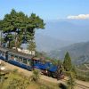 darjeeling