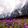 Yumthang-Valley-Sikkim